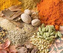 Manufacturers Exporters and Wholesale Suppliers of Indian Spices Tuticorin Tamil Nadu